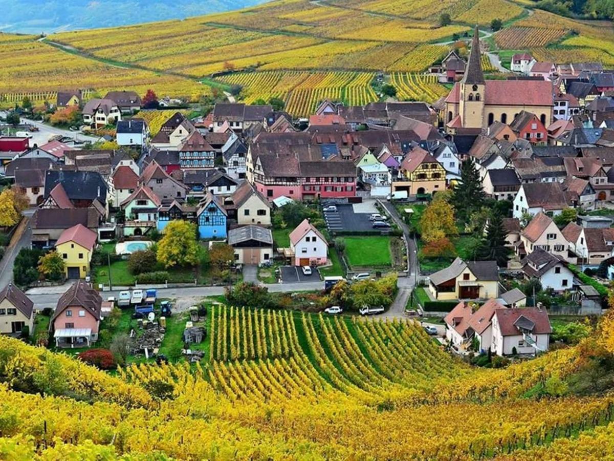 Le Gite Du Sommerberg Niedermorschwihr Exterior photo